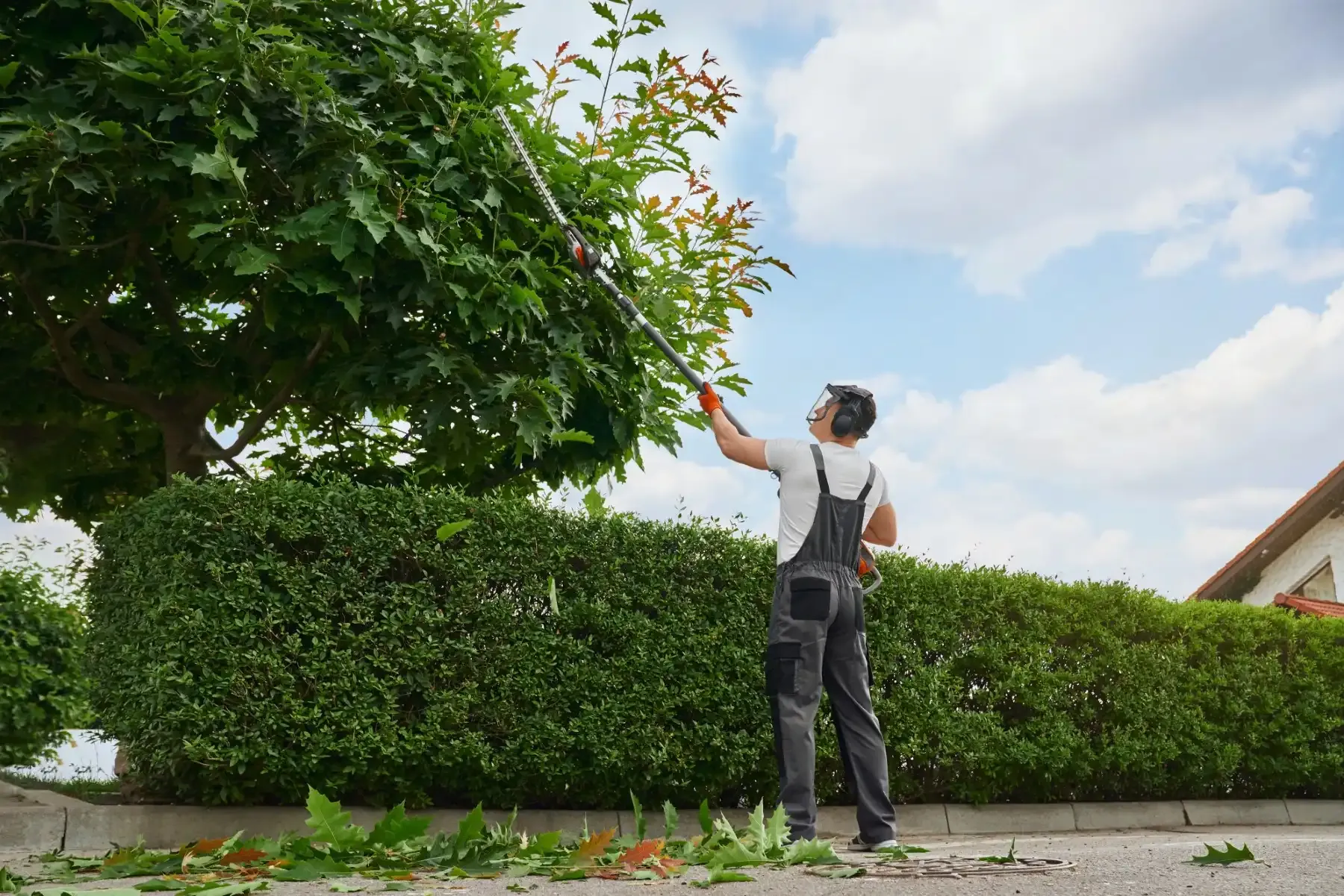 Expert Tree Trimming & Outdoor Care in Davenport